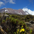 climbing mount kilimanjaro