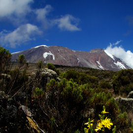 mount kilimanjaro