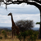 climbing mount kilimanjaro