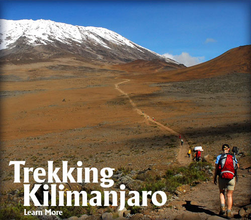 trekking kilimanjaro